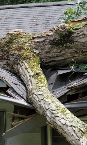 Insurance Loss Restoration Services - Storm Damage
