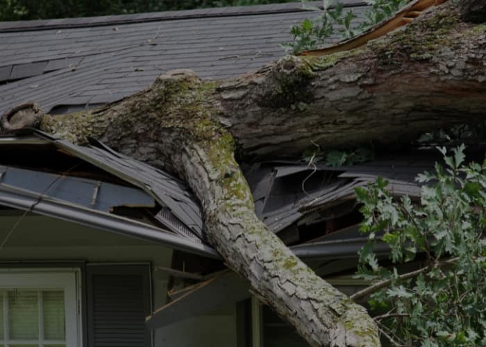Storm Damage Repair Services Photo